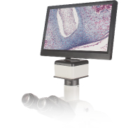 Moticam 1080 BMH CMOS sensör ve HDMI/USB 2.0 bağlantıya sahip 8.0 MP Full HD 1920 x 1080 çözünürlüklü dijital mikroskop kamerası | MOTIC Türkiye